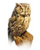 Descripción: Descripción: C:\Users\user\Documents\Partituras del Balsas\Angel Tavira\CD raiz\TEXTOS\Creditos_archivos\image006.gif